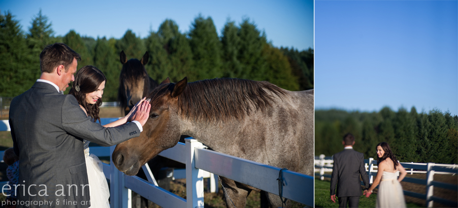 Long Farm Barn Wedding Photographers horses