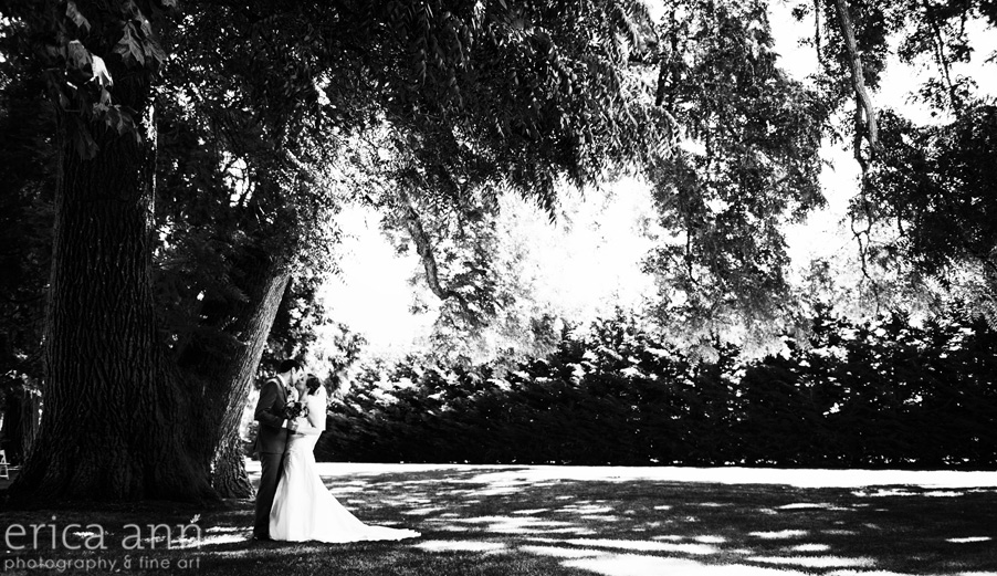 big tree bride and groom